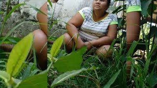 Mas Pina Igting Pa Bhadiday