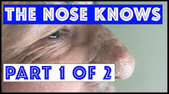 Dr Sandra Lee Aka Dr Pimple Popper Youtube