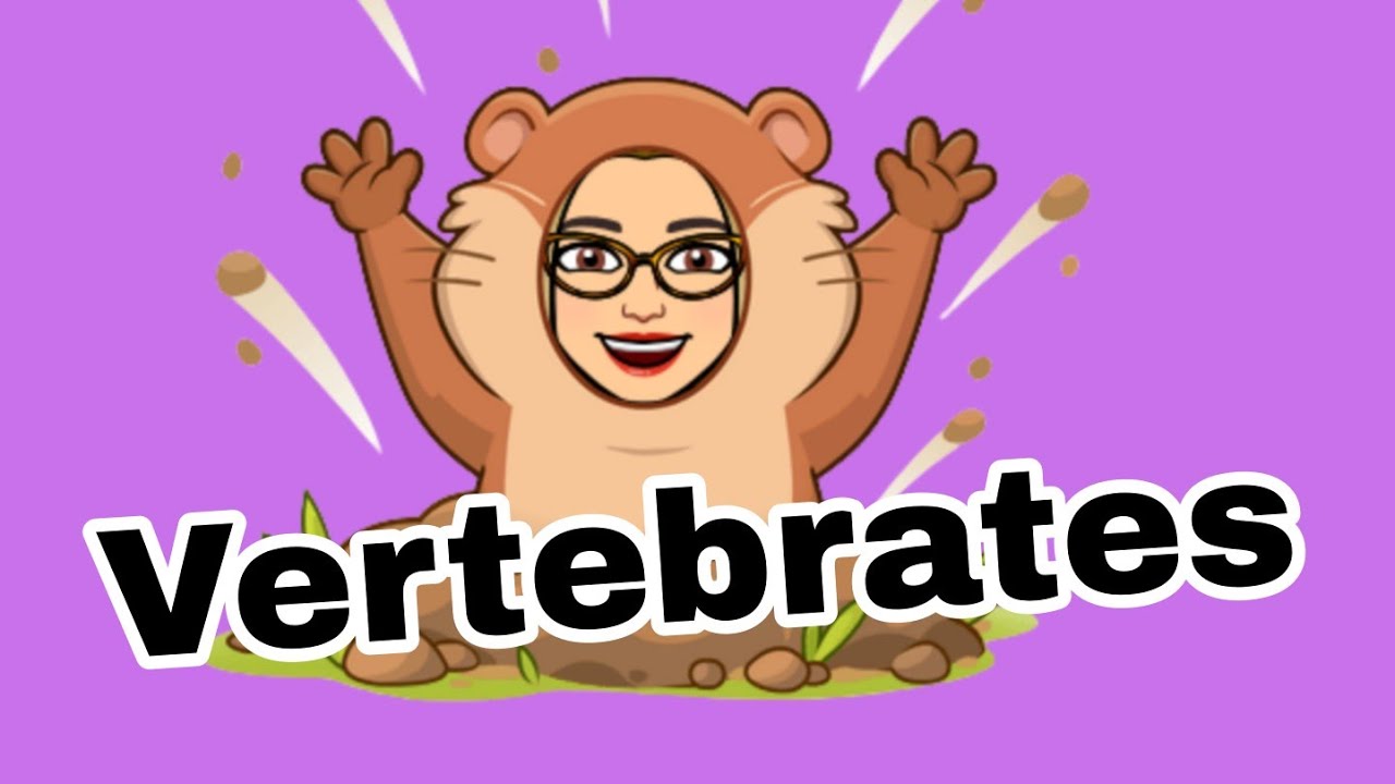 CHARACTERISTICS OF VERTEBRATES/GRADE 6