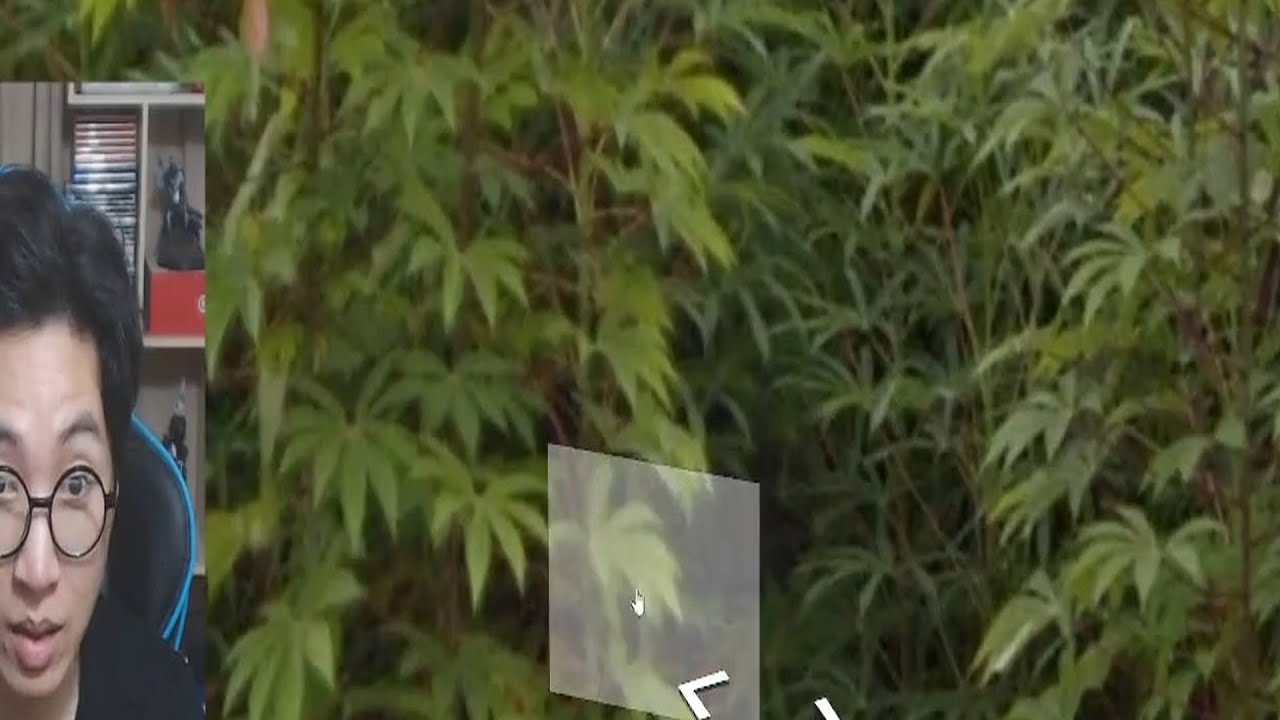 សិក្សាភូមិវិទ្យា