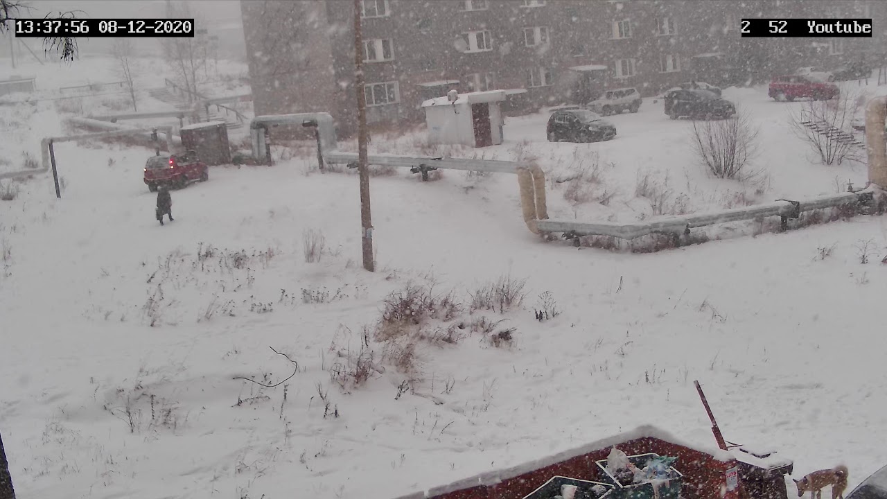 Нарушение пдд езда по пешеходной зоне езда по газону - YouTube