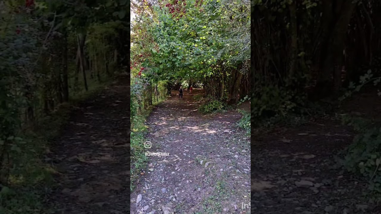 Nacimiento del Rio Besaya. Ruta circular desde Fresno del Río, en Campoo.