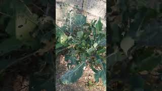 Ellerden uzak ( official video )