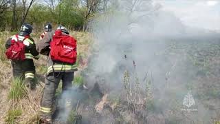 Пожар у села Новокуровка Хабаровского района ликвидирован