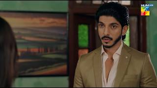 Tumhari Biwi Ka Charachter Theak Nahi...! Musafat - HUM TV