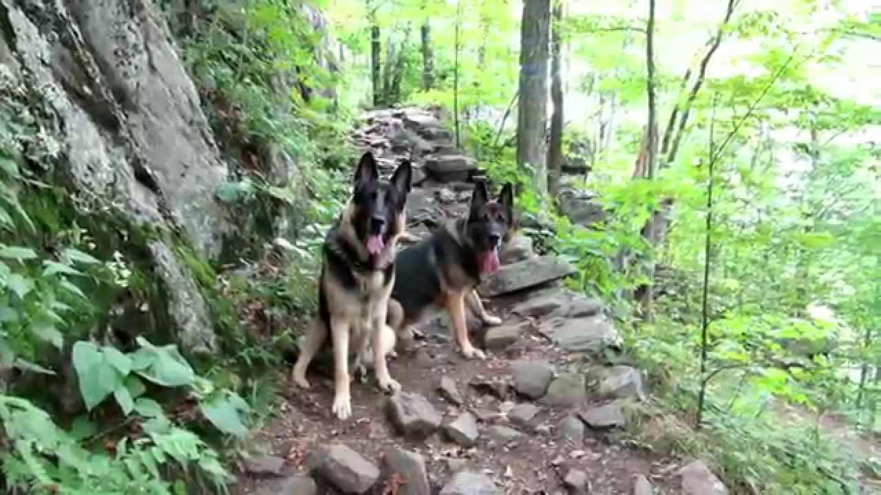 Lake George Wild Forest Free Camping Youtube