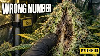 Your 40% Humidity Isn't Stopping Bud Rot (It Got In on Week 3)