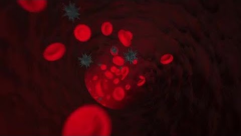 Moving Viruses And Blood Cells Stock Motion Graphics