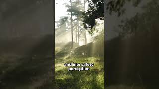Micro Mindfulness #powerpause #calmfocus #pressure