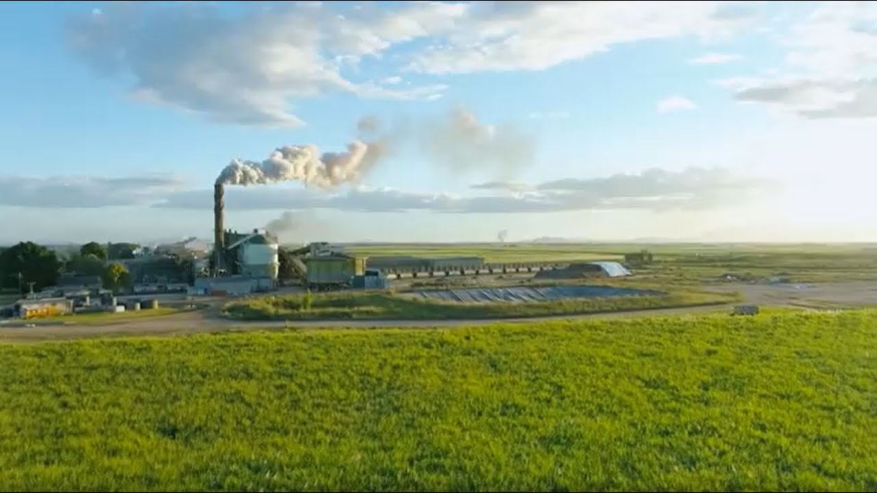 Introducing Wilmar Sugar and Renewables