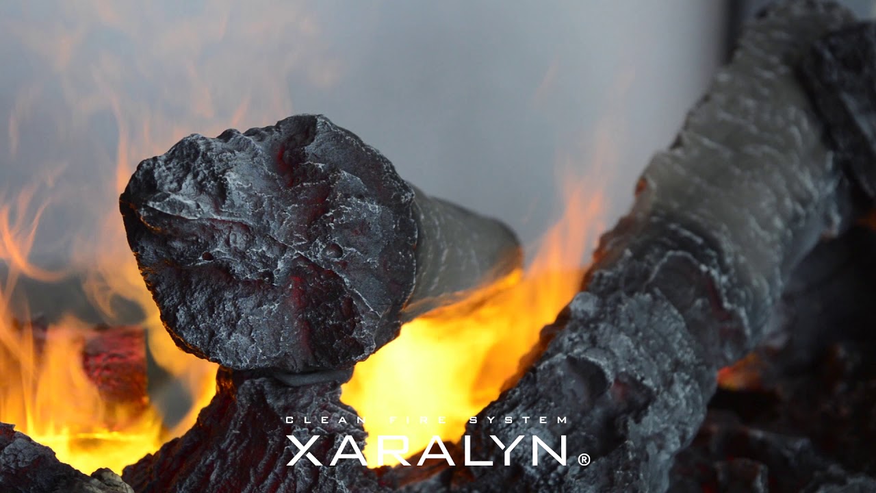 Xaralyn Ambiance doorkijk Biohaard | 't Stokertje