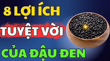 Tin Vui: 8 Lợi Ích Tuyệt Vời của Đậu Đen Chữa Được 8 Bệnh Thường Gặp | BÍ QUYẾT SỨC KHOẺ