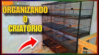 PREPARANDO O LOCAL PARA COLOCAR AS CRIADEIAS DOS PERIQUITOS