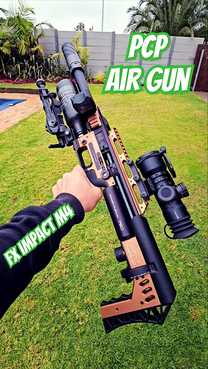 Ultimate Air Gun | FX Impact M4 | Unreal PCP Air Gun Technology & Accuracy #fxairguns