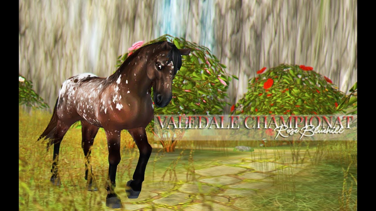 Valedale Championat - CHAMPVIDEO