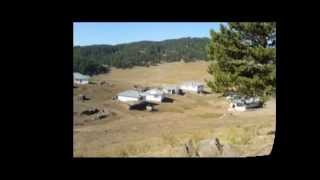 Apdullah Papur_Yaz Gelin (Ak Yapim Gururla Sunar) İletişim_0535 - 403 - 87 - 70