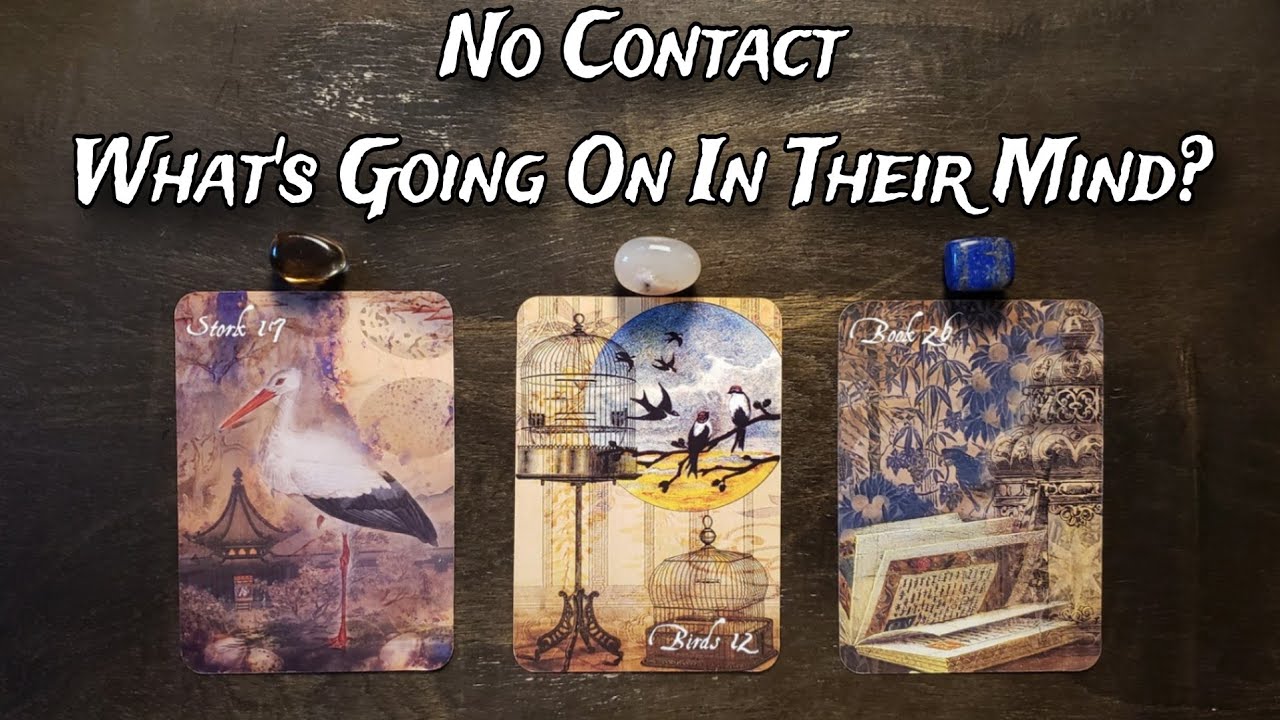 No Contact | What's Going Through Their Mind? How Are They Feeling About You? Pick A Card Reading