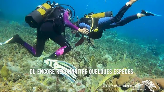 La plongée en masque et tuba #SNORKELING avec ses enfants (4 ans) /// OMAN  