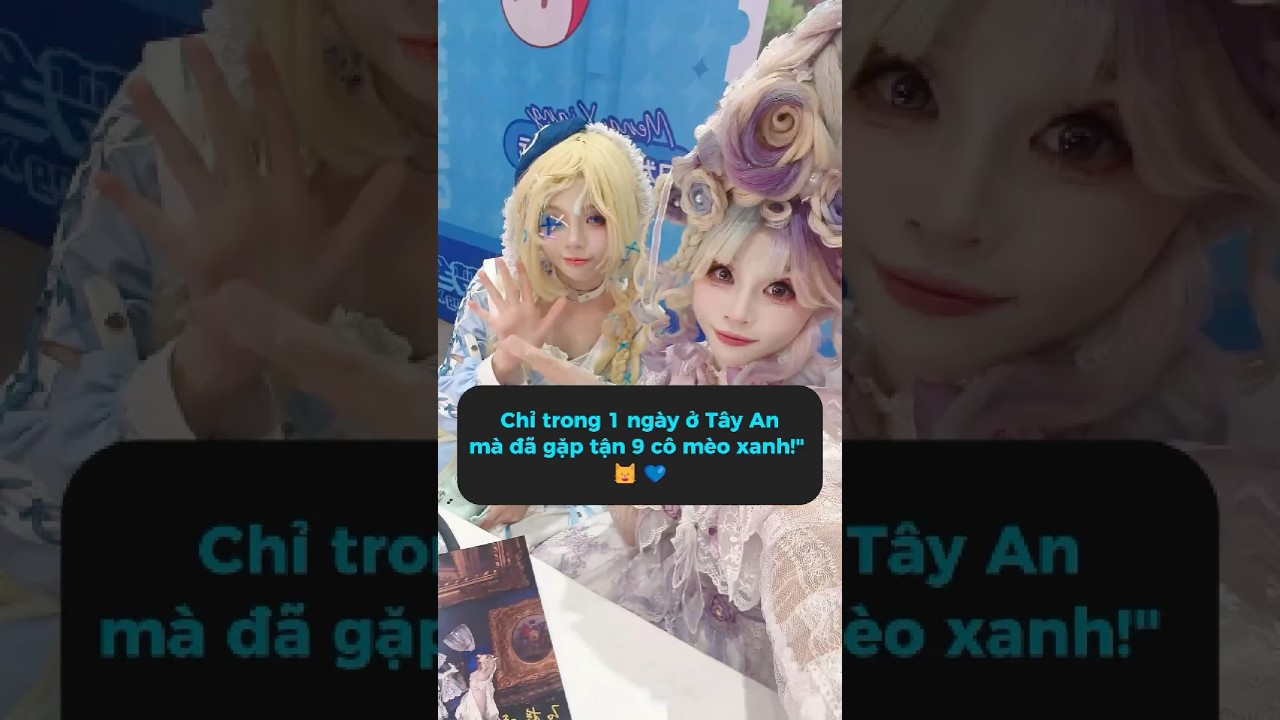 Triển lãm cosplay Tây An bị mèo Mizu chiếm đóng! Một ngày gặp tận 9 bé! #meowcosplay #shorts