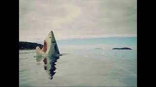 Dj Mmm X Riff Raff X Prod. By Sthlmbeats - Prada Program Remix