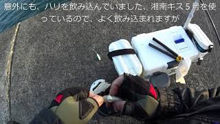 20181221大磯港チョイ投げ釣り