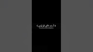 ﴿ الذي خلقني فهو يهدين ﴾ ♥️ سورة الشعراء ، ياسر الدوسري #قرآن