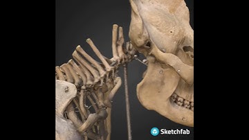 Sketchfab Cultural Heritage Weekly Top 10 3D Models 2021 Week 2