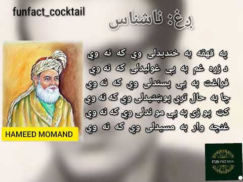               نن به شپه زما