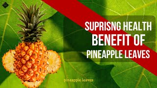 Surprising Health Benefits Of Pineapple Leaves | Pineapple Health Benefit