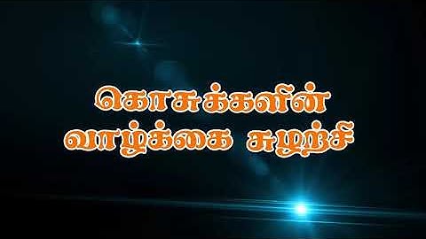 9TH STD TERM-3 SCIENCE UNIT-1 QR CODE VIDEO - கொசுக்களின் வாழ்க்கை சுழற்சி