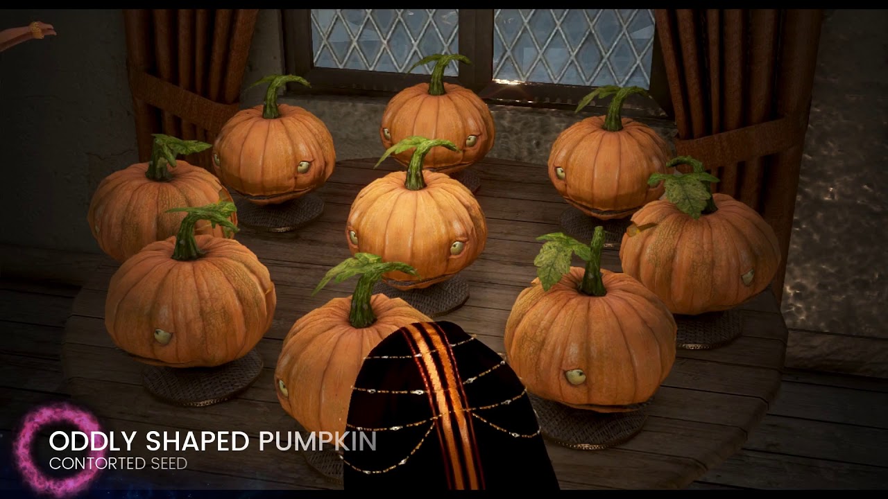 BLACK DESERT ONLINE SEEDS TO FURNITURE GUIDE ✨ NINESAUR