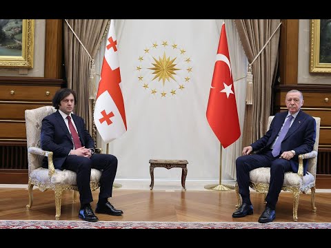 რეჯეფ თაიფ ერდოღანმა და ირაკლი კობახიძემ საქართველოში მიმდინარე მოვლენებზე ისაუბრეს