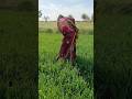 #viral #song #rajthani #viralmusic #trending #love #viralsong #viralvideo #rajasthani #subscribe