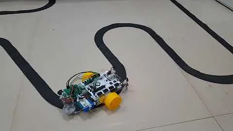 Line Follower Robot using VEGA Processor  RISC V ISA