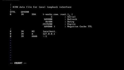 Membuat DNS Server Di Debian Lenny Berbasis Teks via VMWare