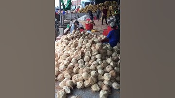 Dừa xuất khẩu đi Trung Quoc