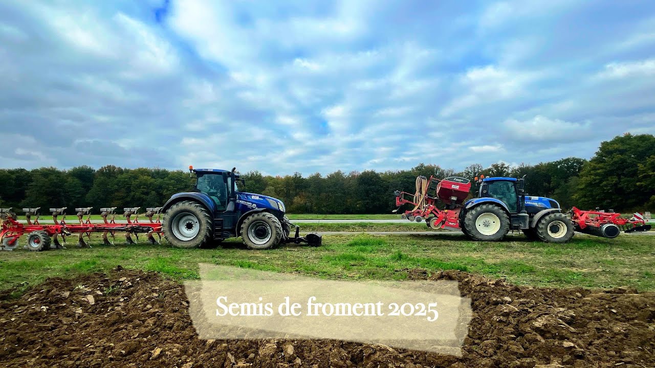 Semis Froment 2025 🌱🌾