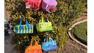 Trader joes mini insulated bag day 2