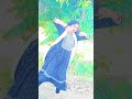 पगले बनने ल#Bhojpur#i trending# song# YouTube #short film video