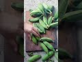 Banana Cutting Skills . Chinese skills . #chineseskills
