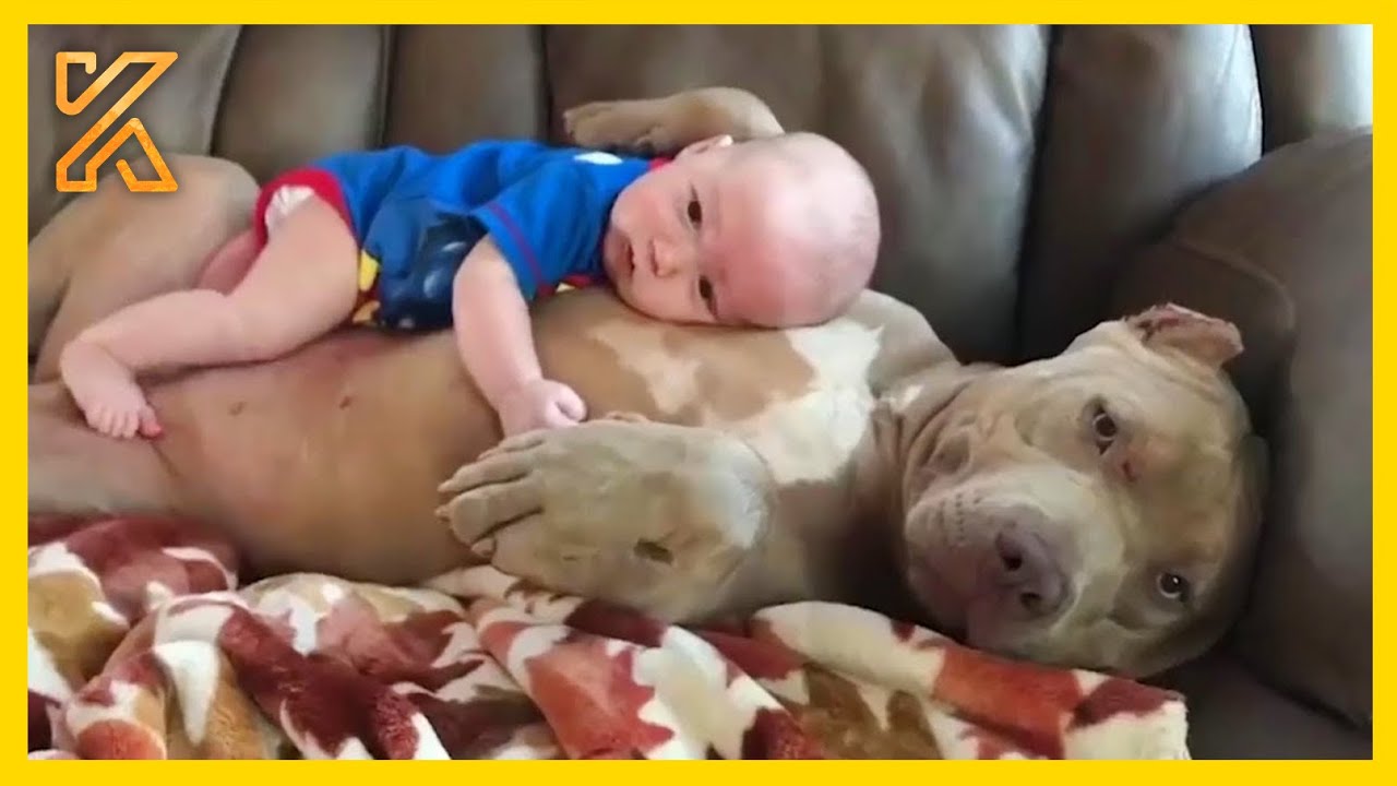 🐕 When Your Dog Is The Most Caring Big Brother 🥰