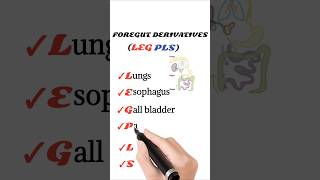 foregut derivatives mnemonic