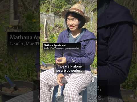 The Thai farming co-op fighting for fair prices