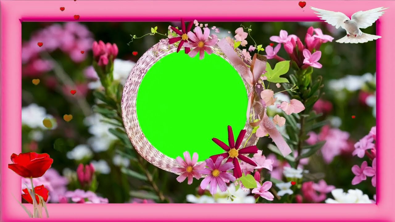 Wedding Green Screen Effects 277 background video template animation