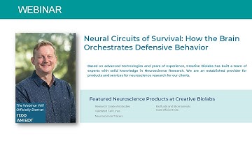 Webinar: Neural Circuits of Survival: How the Brain Orchestrates Defensive Behavior