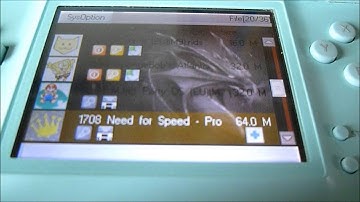 hoe cheat ik op een ds uitleg!!