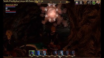 Shroud of the Avatar PRE-ALPHA R9 - Team combat in Dragon
