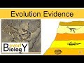 Evolutionary Biology Concepts