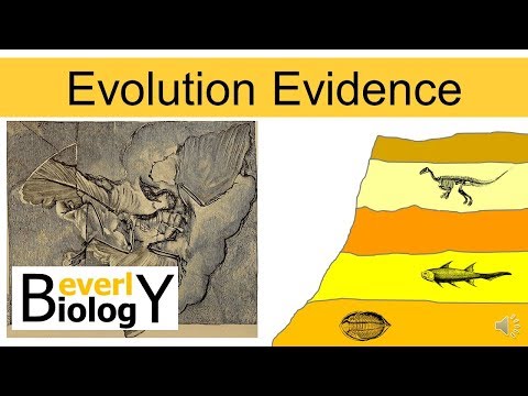 Evolution Evidence (updated)