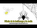 Fabula con moraleja la luciérnaga y la araña